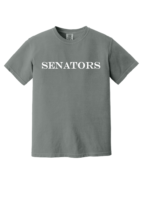 Gray t-shirt with 'SENATORS' printed on it against a white background